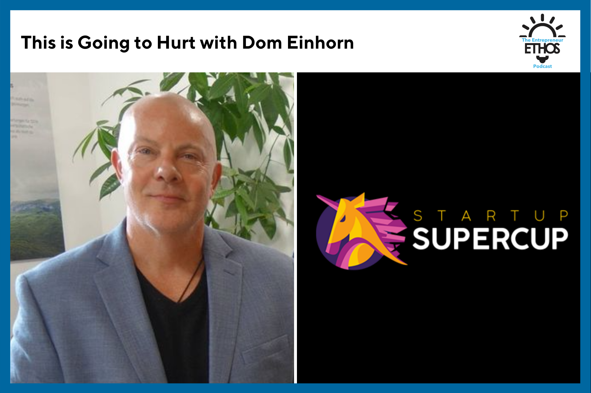 Dom Einhorn
